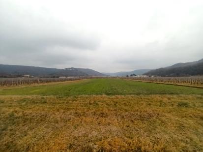 Dragonja - Arheološko območje Baldovo