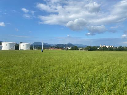 Trnovlje pri Celju - Arheološko območje Dolge njive