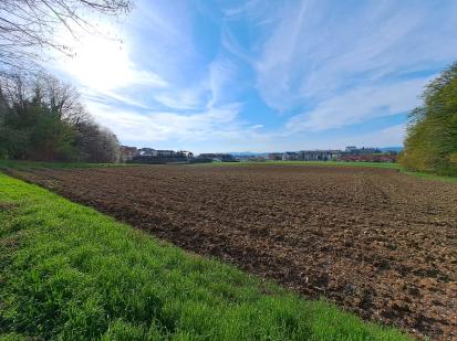 Ptuj - Arheološko najdišče Rabelčja vas