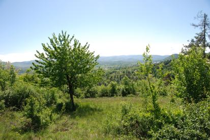 Selce pri Pivki - Gradišče Podvršek