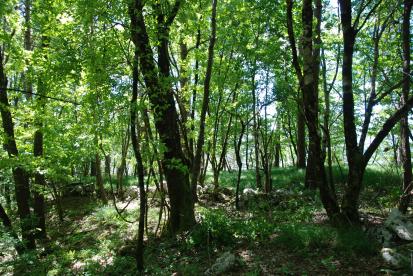 Šembije - Arheološko najdišče Breg