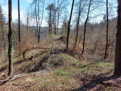 Gabrska Gora - Srednjeveški stolp in dvorec Turn