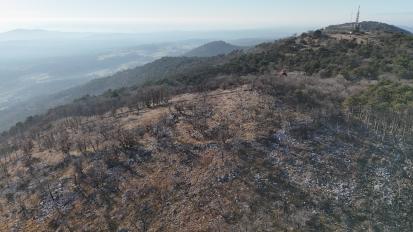Lipa na Krasu - Gradišče nad Stjenkovo kočo na Trstelju